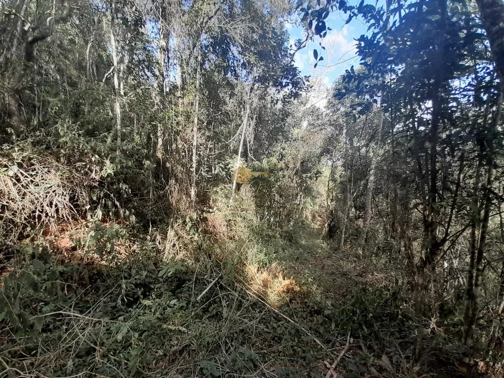 Terreno, 21 hectares - Foto 33