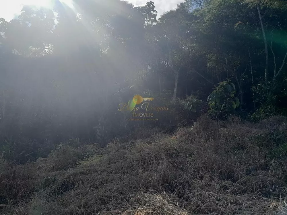 Terreno, 21 hectares - Foto 27