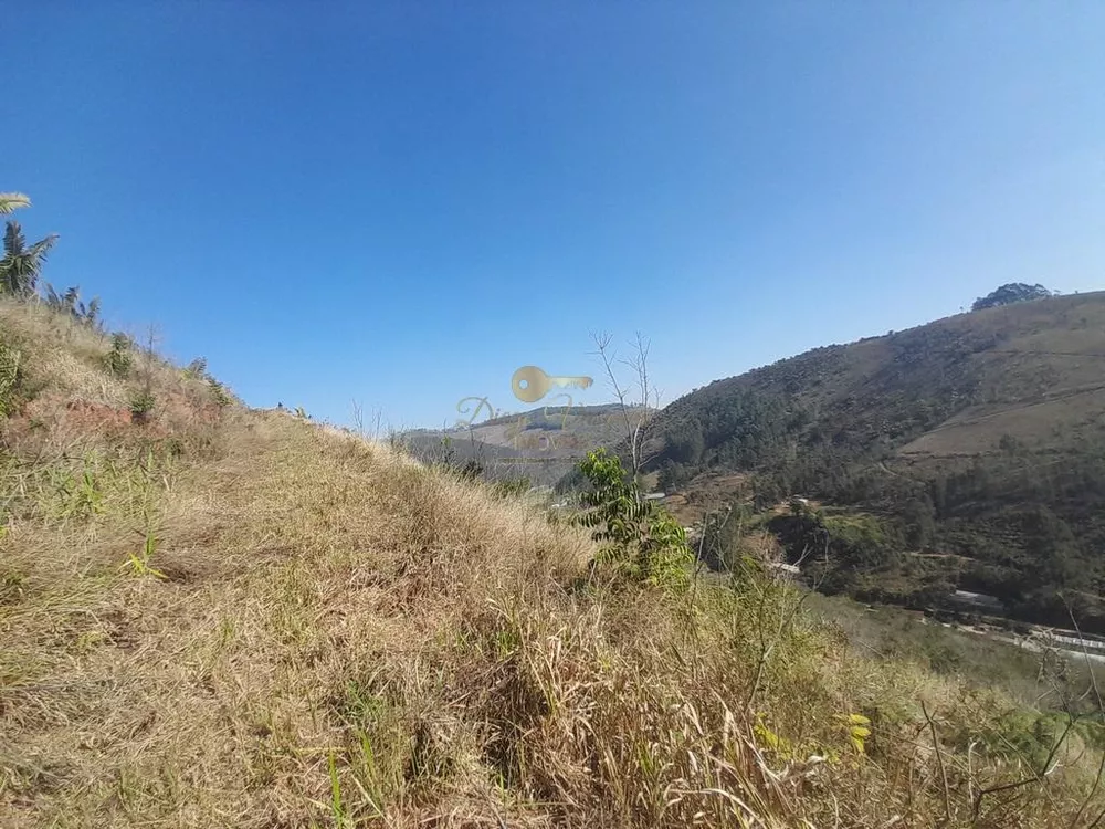 Terreno, 21 hectares - Foto 6