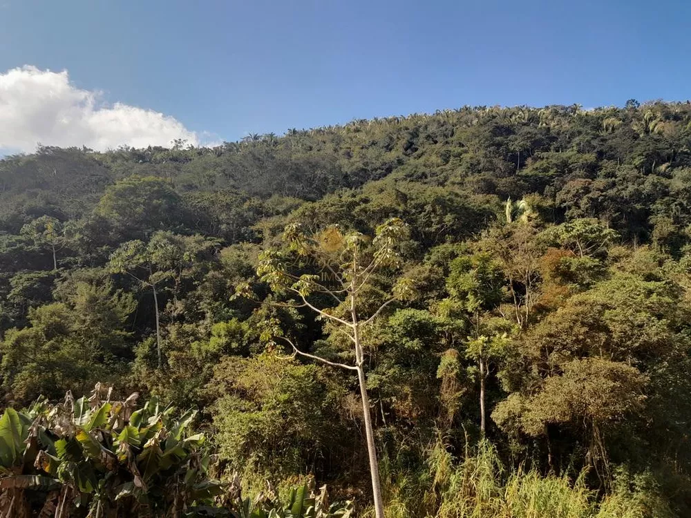 Terreno, 21 hectares - Foto 22