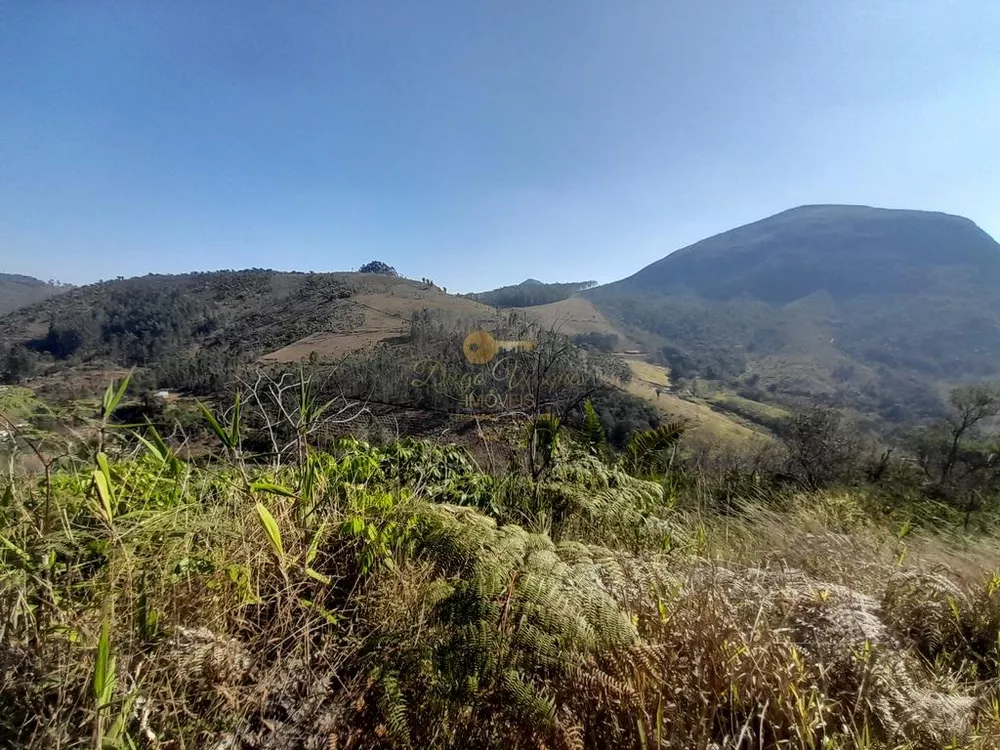 Terreno, 21 hectares - Foto 4