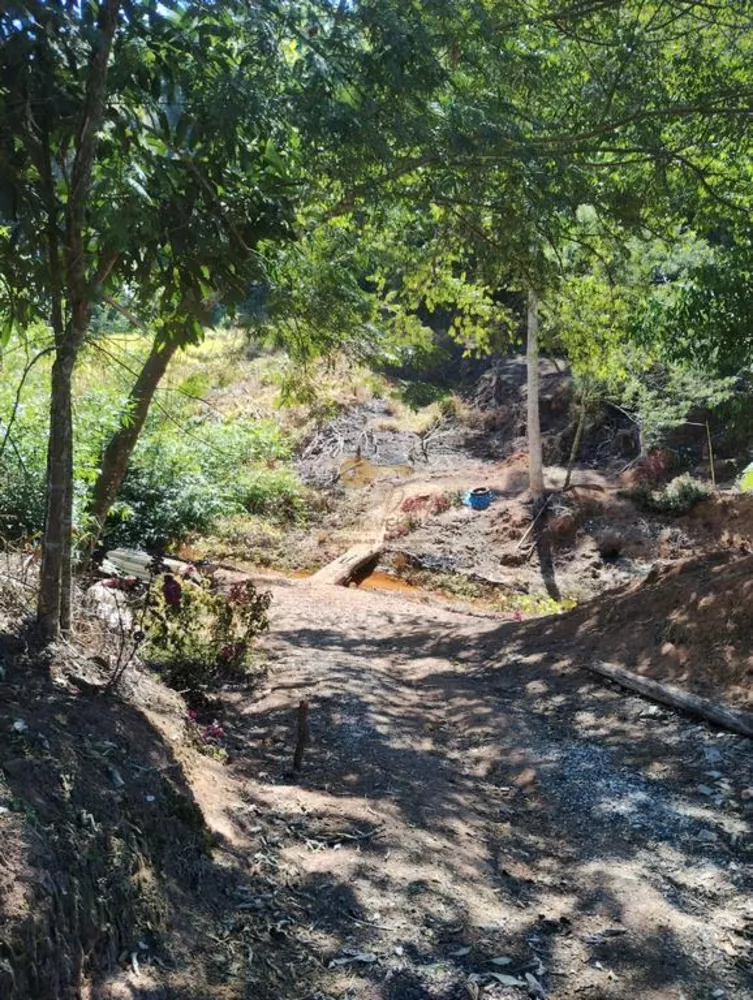 Terreno, 21 hectares - Foto 17