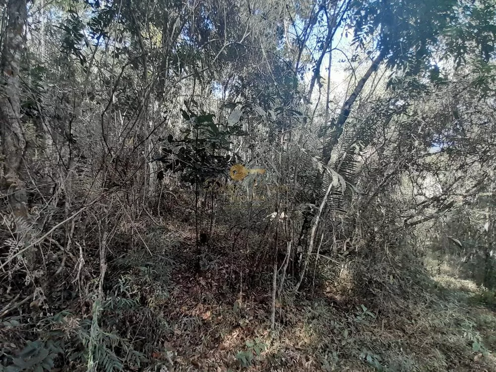 Terreno, 21 hectares - Foto 32