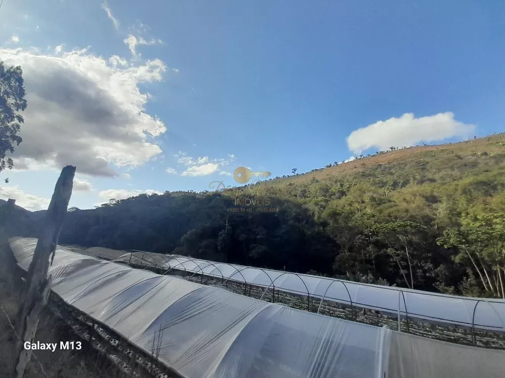 Terreno, 21 hectares - Foto 40