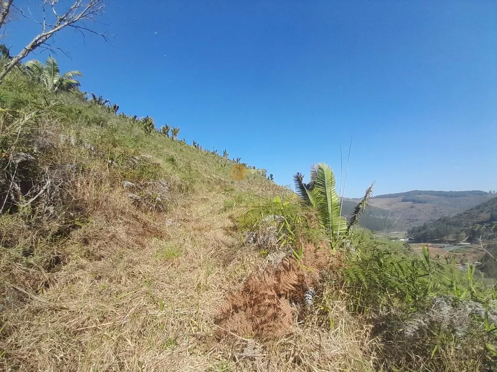 Terreno, 21 hectares - Foto 2