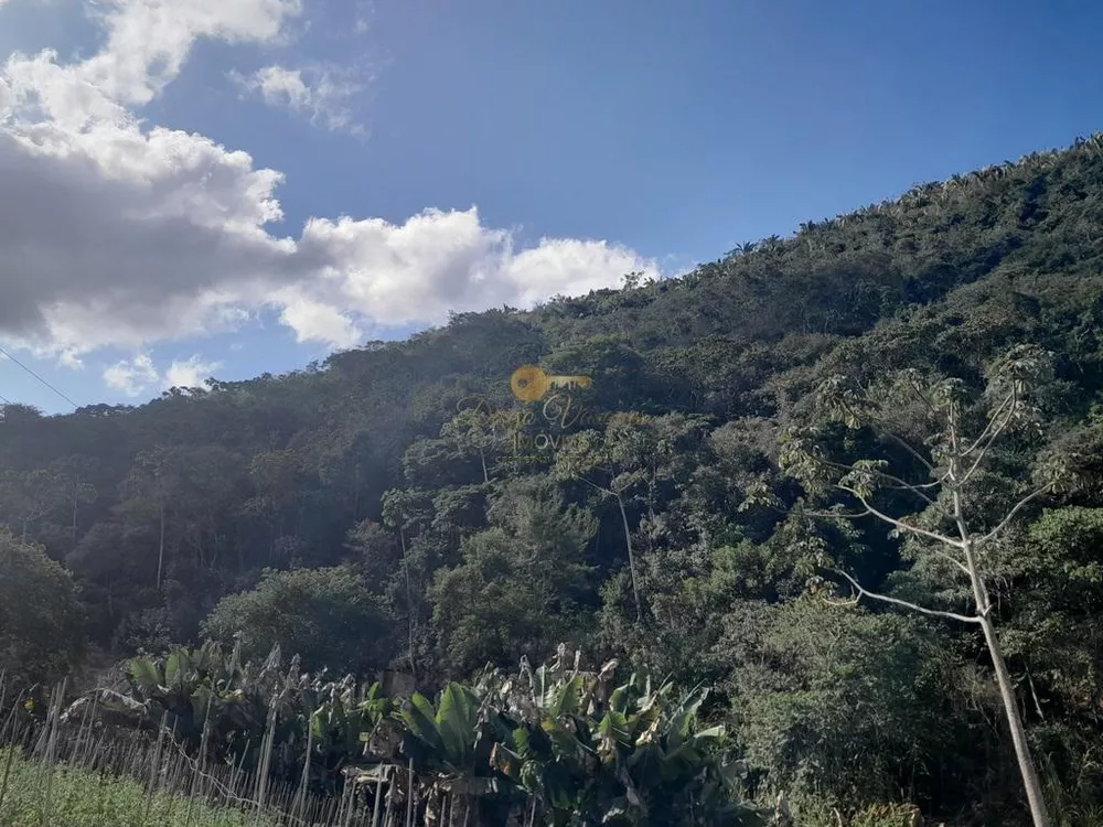 Terreno, 21 hectares - Foto 23