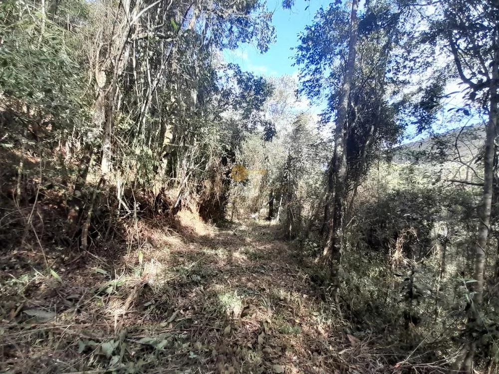 Terreno, 21 hectares - Foto 34