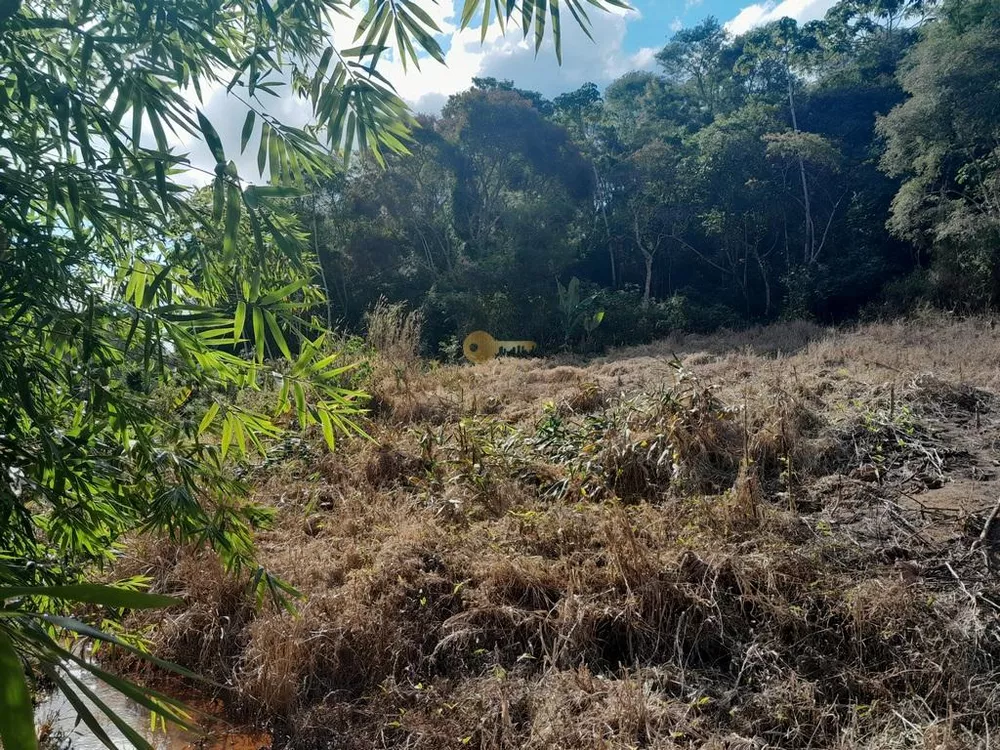 Terreno, 21 hectares - Foto 20