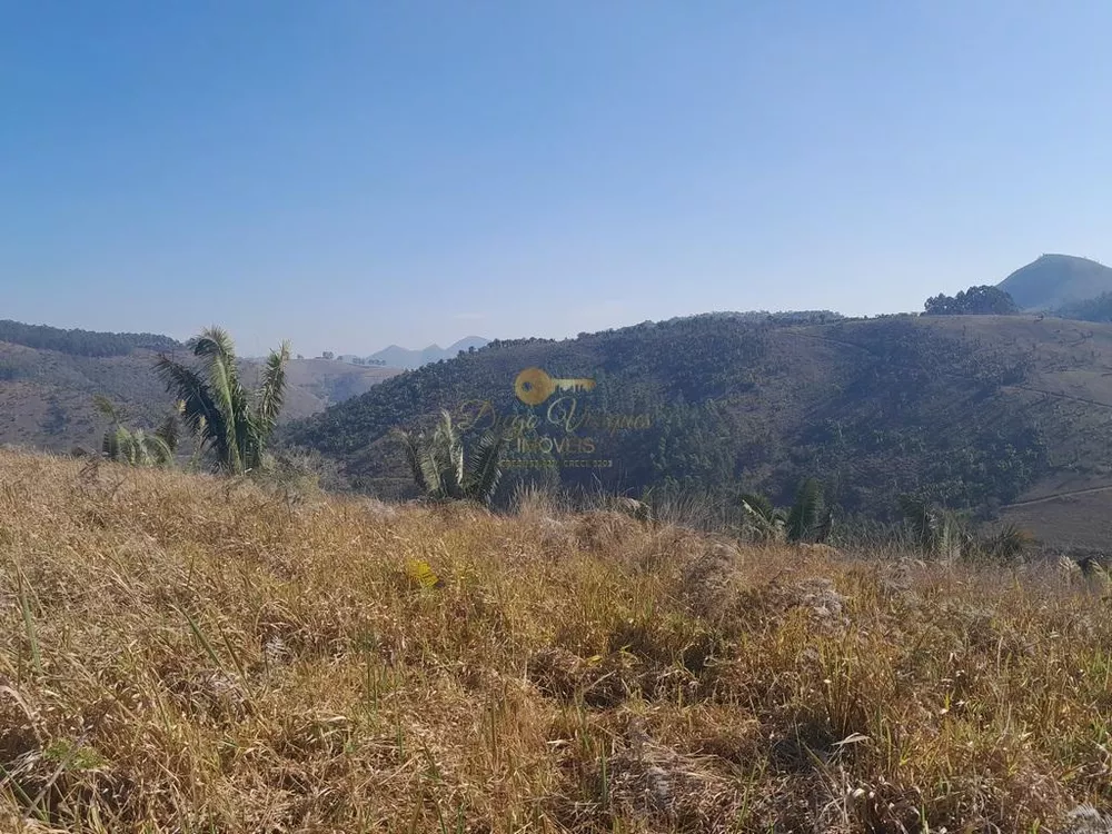 Terreno, 21 hectares - Foto 8