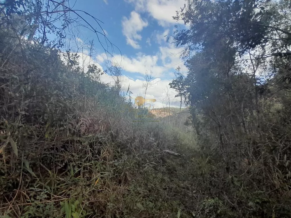 Terreno, 21 hectares - Foto 28