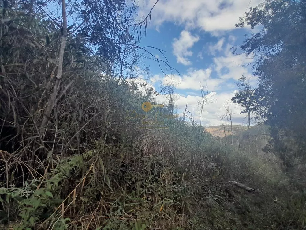 Terreno, 21 hectares - Foto 29