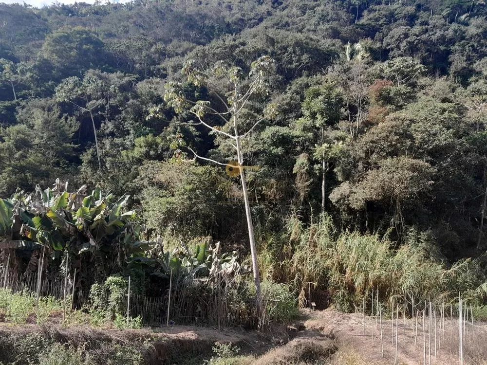 Terreno, 21 hectares - Foto 21