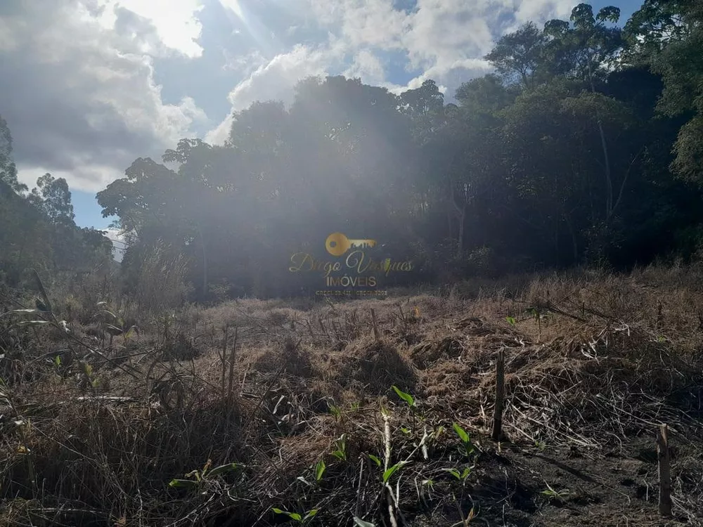 Terreno, 21 hectares - Foto 18