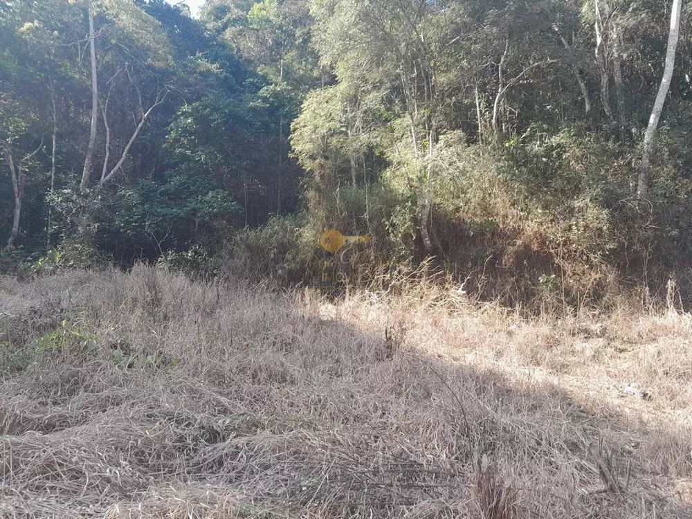 Terreno, 21 hectares - Foto 19