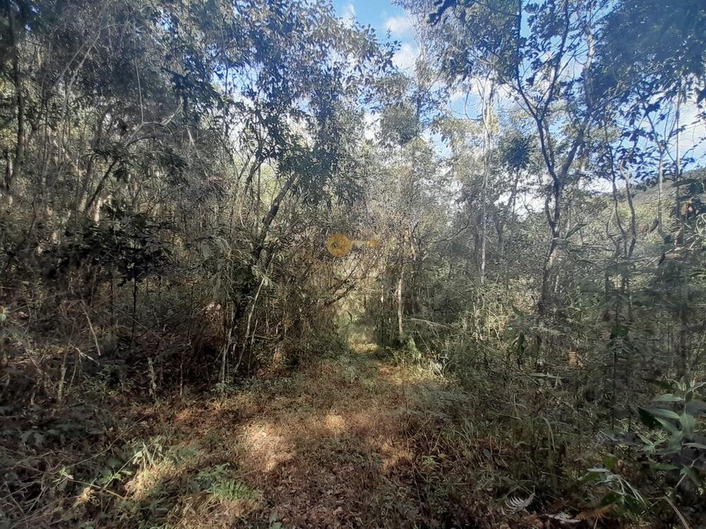 Terreno, 21 hectares - Foto 31