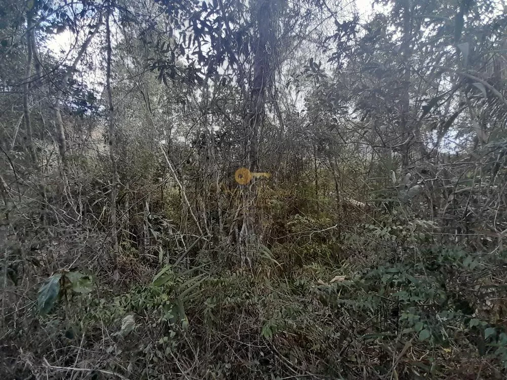 Terreno, 21 hectares - Foto 30