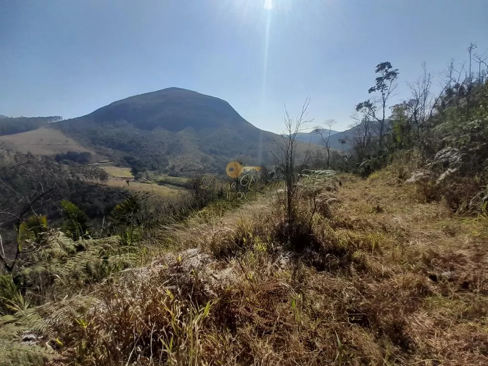 Terreno, 21 hectares - Foto 3