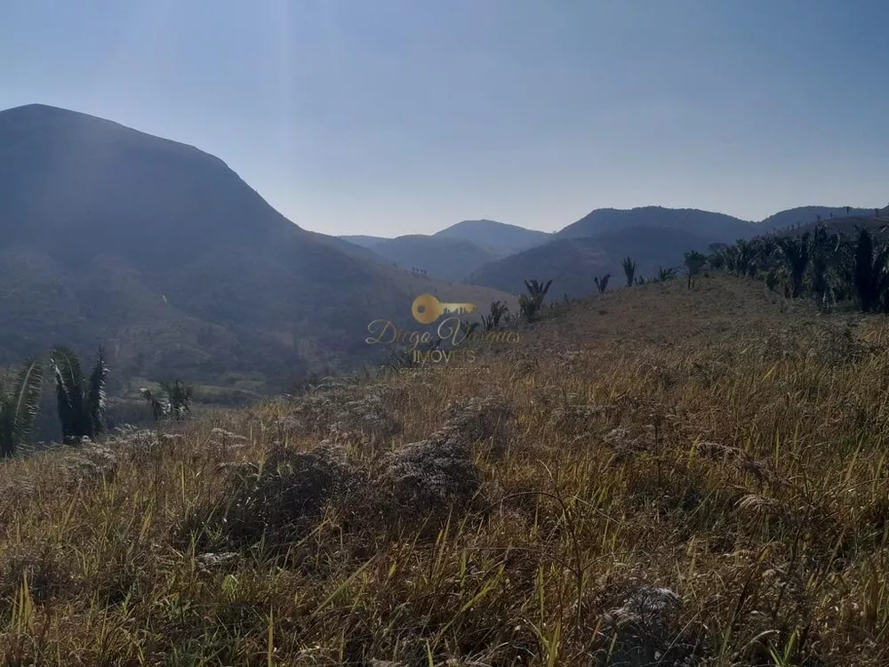 Terreno, 21 hectares - Foto 10