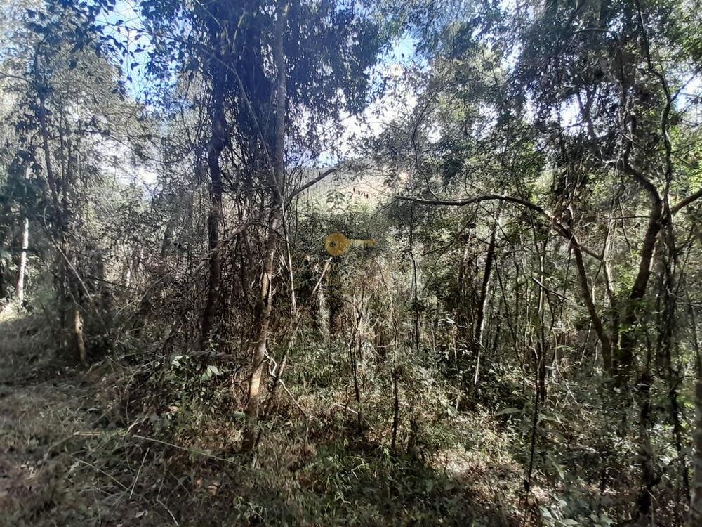 Terreno, 21 hectares - Foto 37