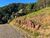 Terreno, 600 m² - Foto 1