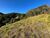 Terreno, 600 m² - Foto 8