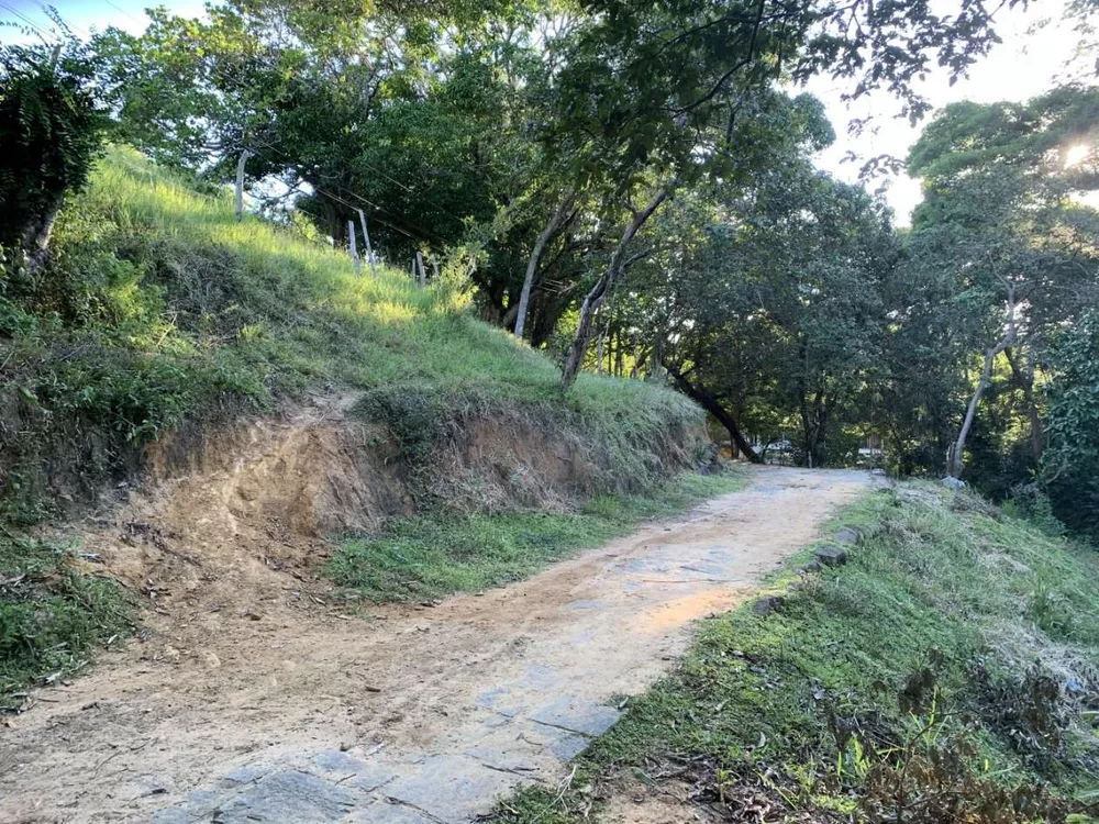 Sítio, 3 quartos, 5 hectares - Foto 6