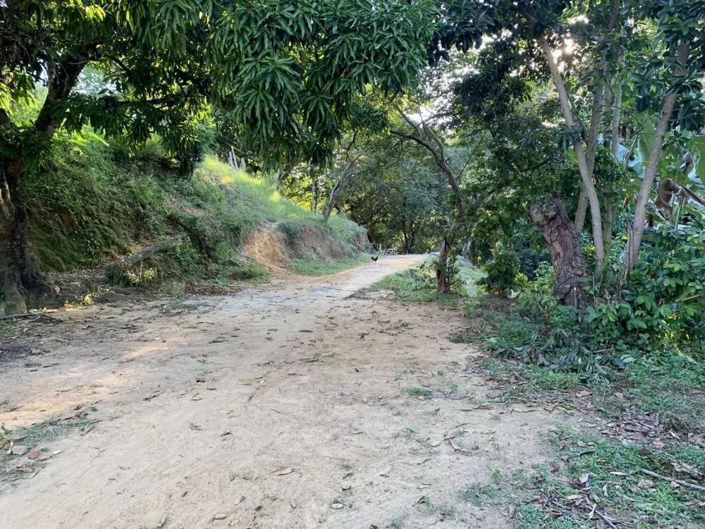 Sítio, 3 quartos, 5 hectares - Foto 31
