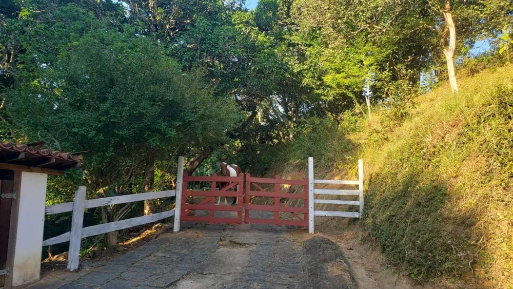 Sítio, 3 quartos, 5 hectares - Foto 16
