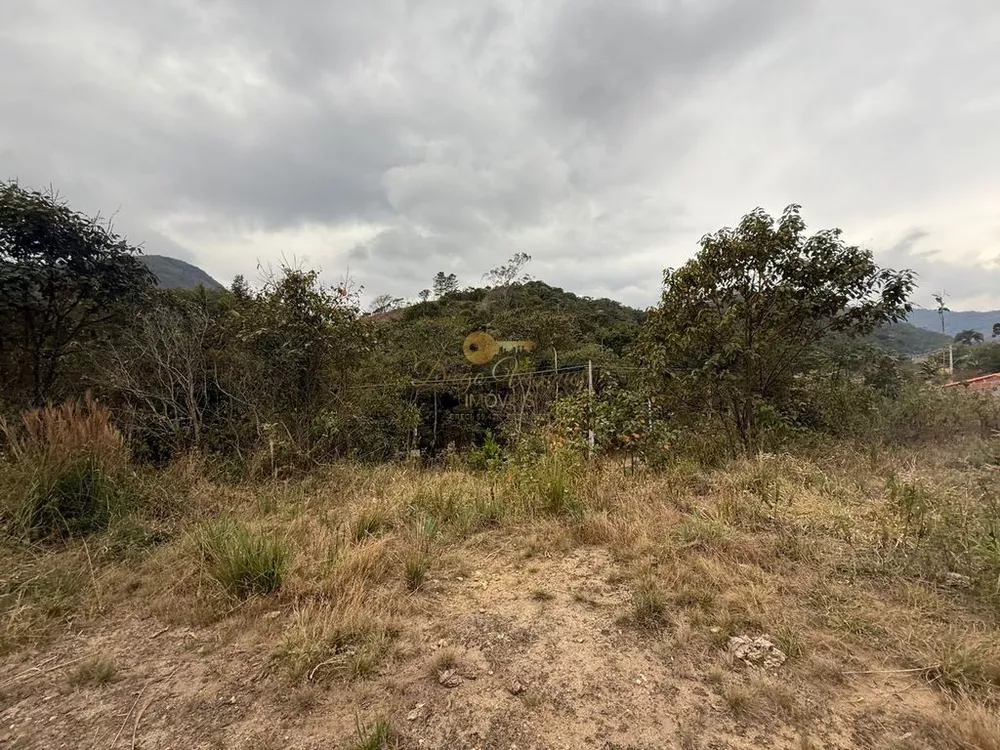 Terreno, 3600 m² - Foto 6