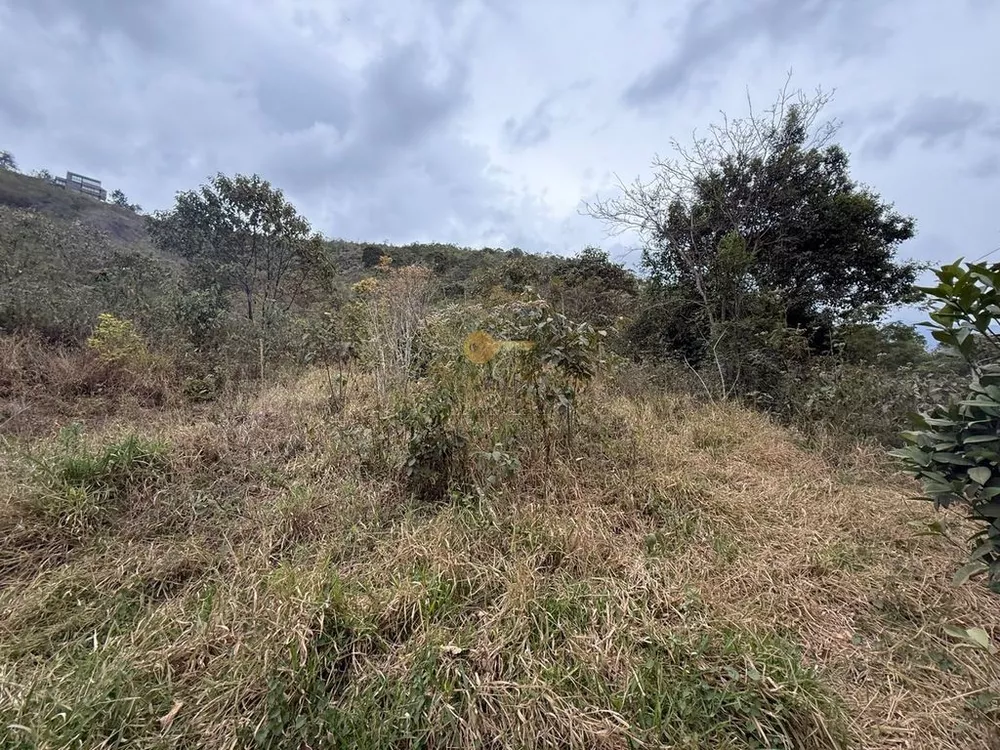 Terreno, 3600 m² - Foto 10