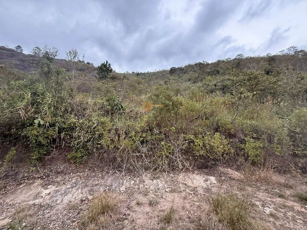 Terreno, 3600 m² - Foto 4