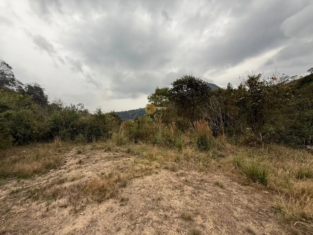 Terreno, 3600 m² - Foto 7