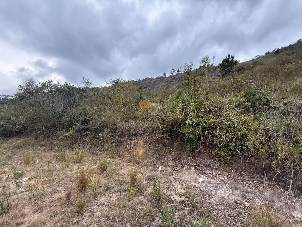 Terreno, 3600 m² - Foto 11