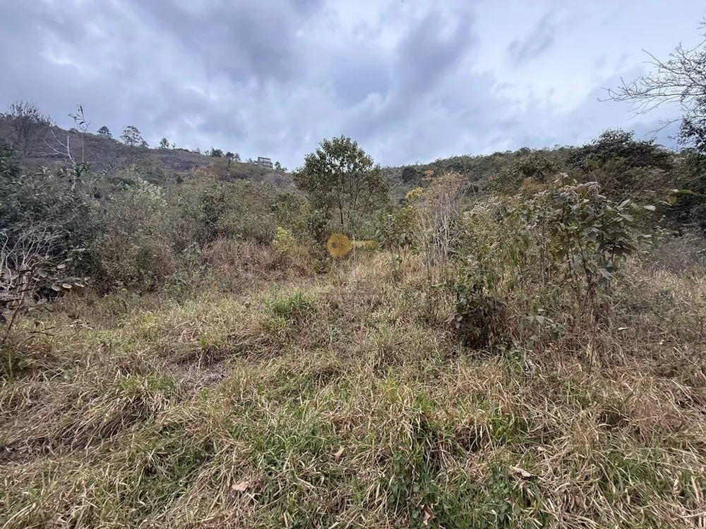 Terreno, 3600 m² - Foto 9