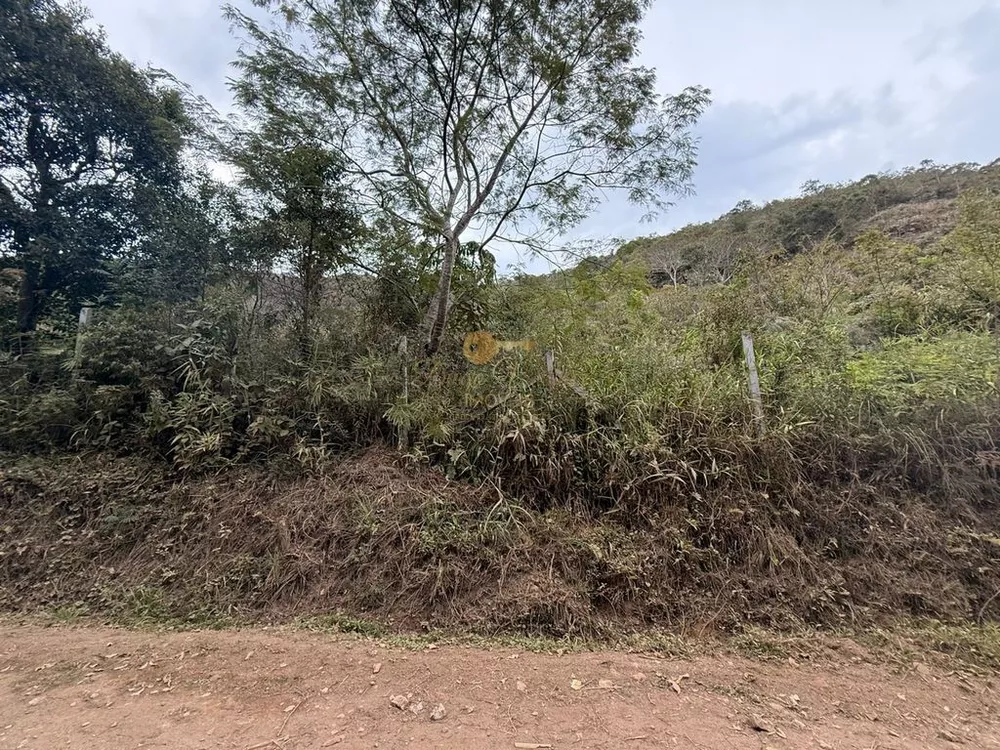 Terreno, 3600 m² - Foto 14