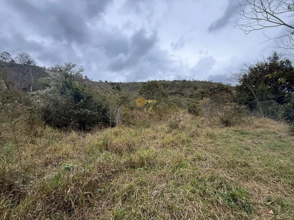 Terreno, 3600 m² - Foto 13