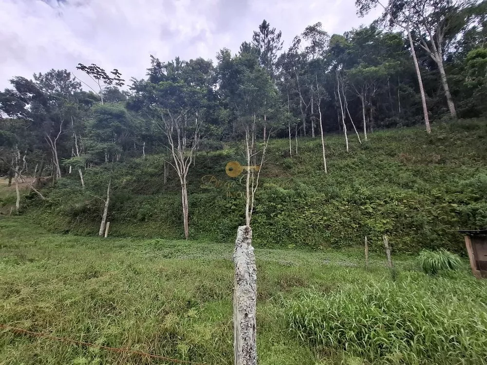 Terreno, 1 hectares - Foto 7