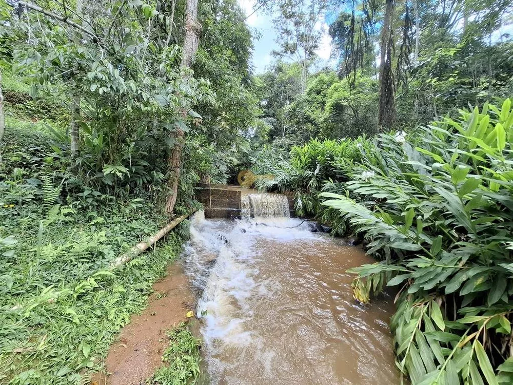 Sítio, 8 quartos, 5 hectares - Foto 53