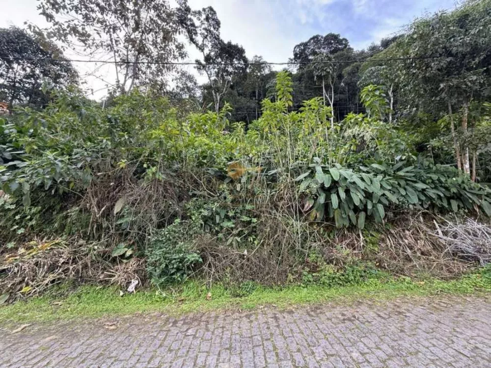 Terreno, 632 m² - Foto 3