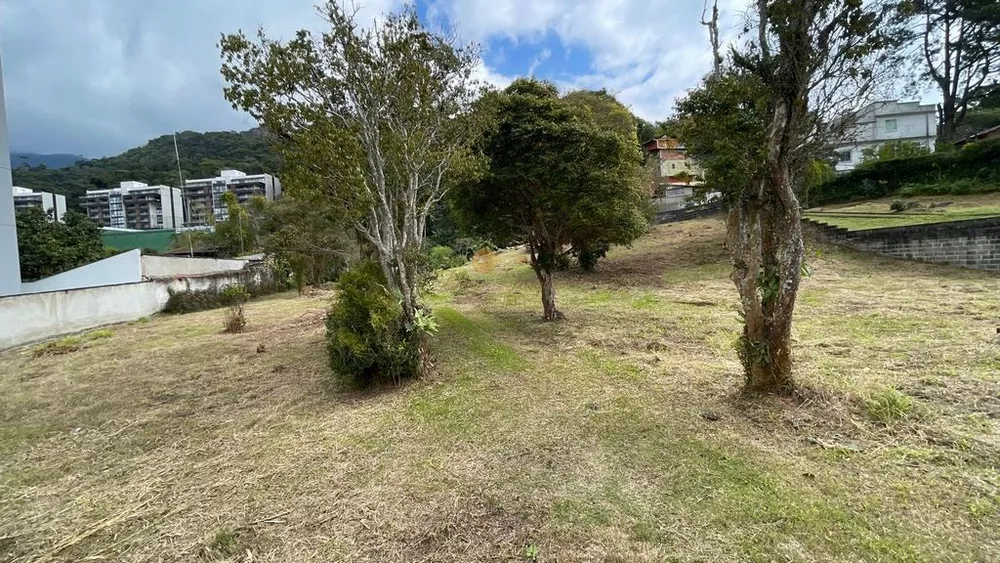 Terreno, 5135 m² - Foto 8