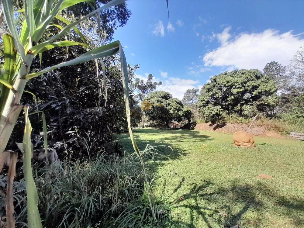 Terreno, 5000 m² - Foto 12