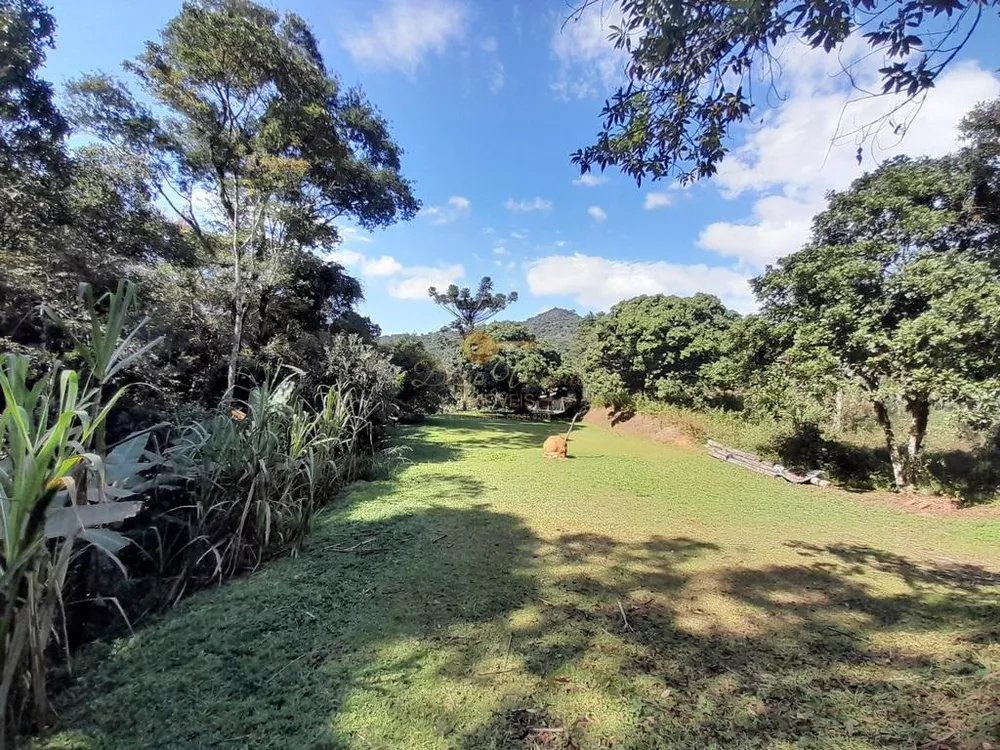 Terreno, 5000 m² - Foto 9