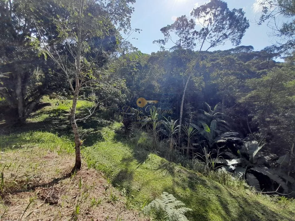 Terreno, 5000 m² - Foto 23