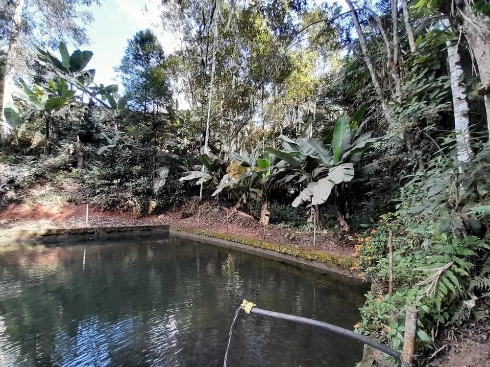 Terreno, 5000 m² - Foto 5