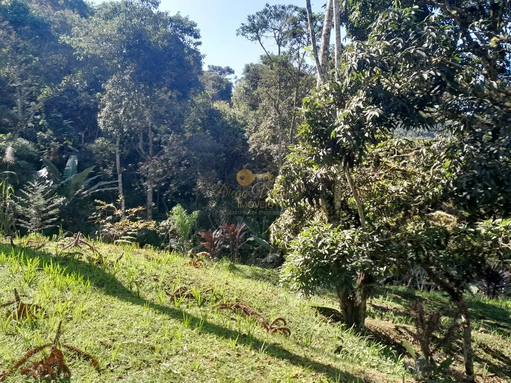 Terreno, 5000 m² - Foto 19