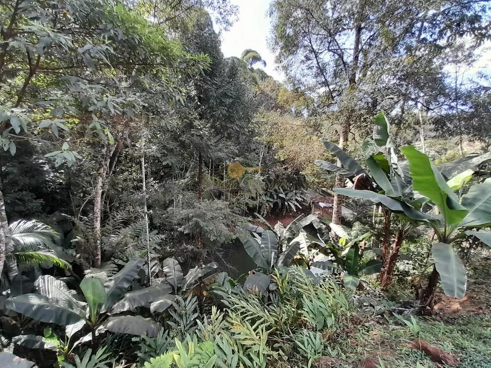 Terreno, 5000 m² - Foto 33