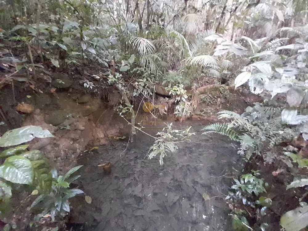 Terreno, 5000 m² - Foto 41