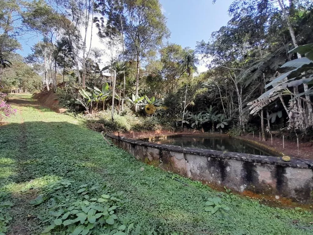 Terreno, 5000 m² - Foto 7