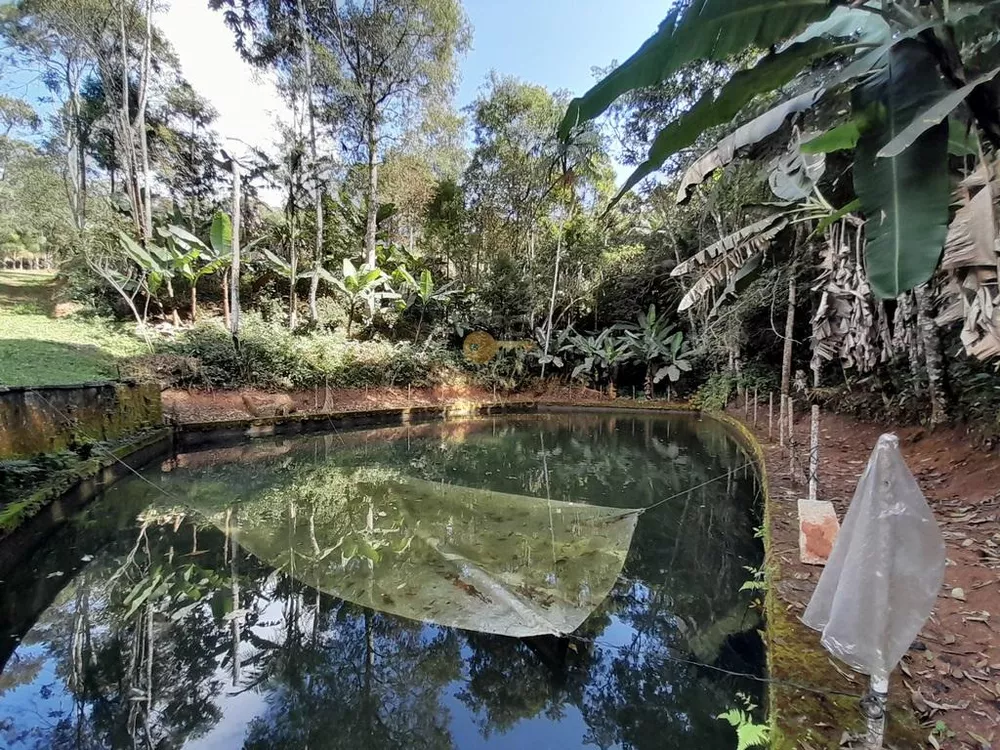 Terreno, 5000 m² - Foto 2