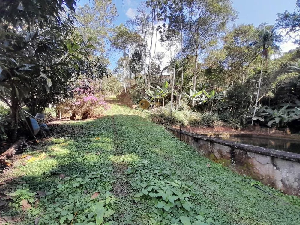 Terreno, 5000 m² - Foto 8